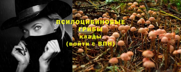 ALPHA PVP Беломорск