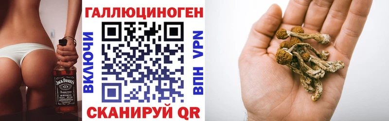 Галлюциногенные грибы GOLDEN TEACHER  это официальный сайт  Елизово 