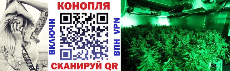 наркошоп  Елизово  МАРИХУАНА планчик 
